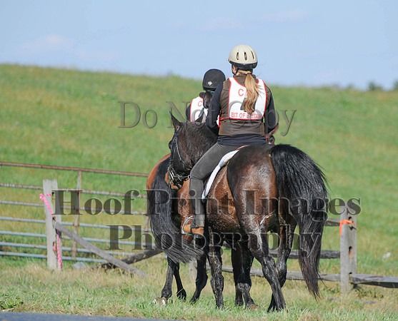Cheshire(10-20-13)0599