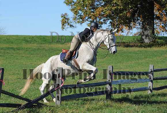 Cheshire(10-19-14)0249