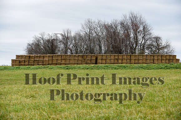 FairHillBFPC(11-27-20)0076