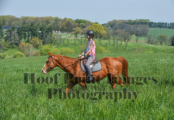 CheshireSpringPC1(4-28-24)0081