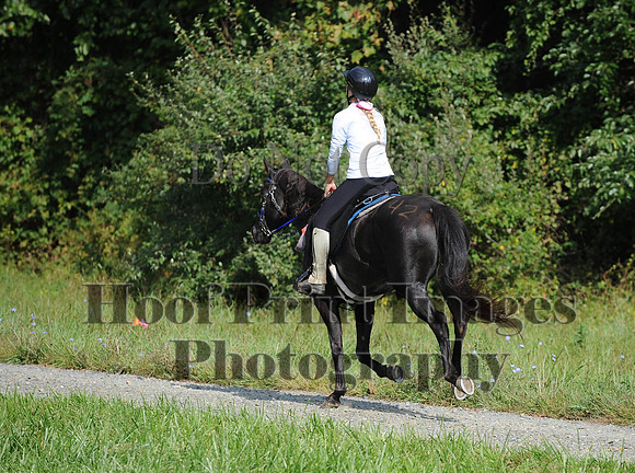 ChesapeakeCTR(9-20-14)0314