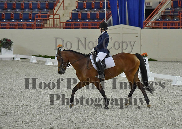 CWdressageI(8-20-16)0261