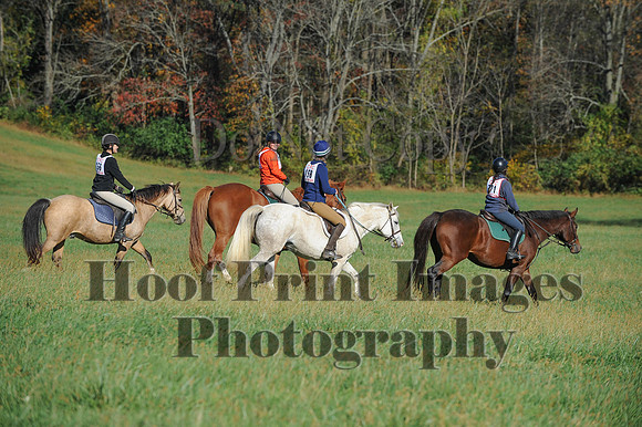 Cheshire(10-19-14)0361