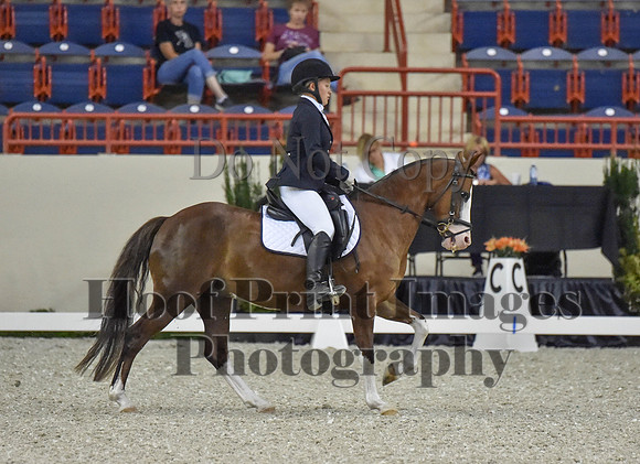 CWdressageI(8-20-16)0582