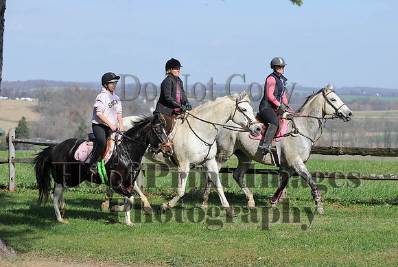 AndrewsBr(11-9-14)0047