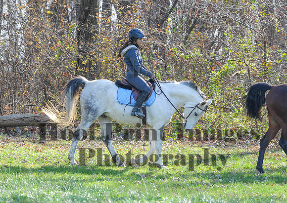 AndrewsBr(11-9-14)0130