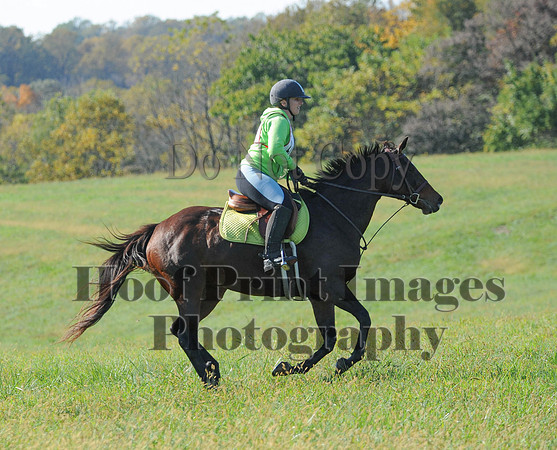 Cheshire(10-20-13)0690