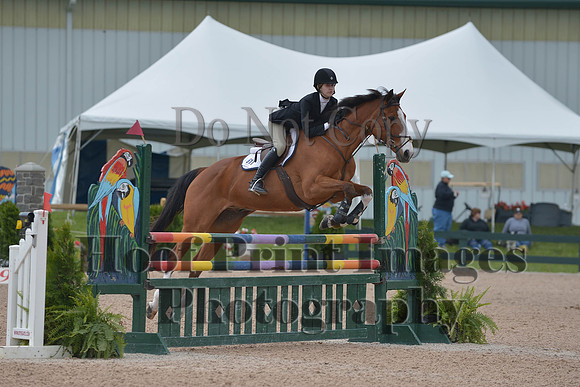 BRSa(5-17-14)HChAdJ0192