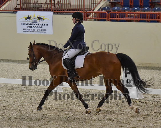 CWdressageII(8-21-16)1378
