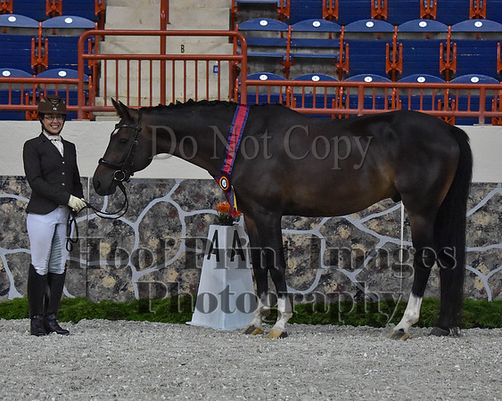 CWdressageII(8-21-16)1422