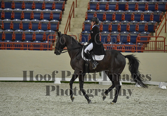 CWdressageI(8-20-16)1476