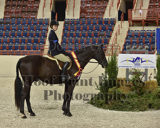 HarrisburgHS(8-23-15)1153