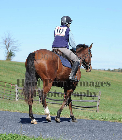 Cheshire(10-19-14)0098