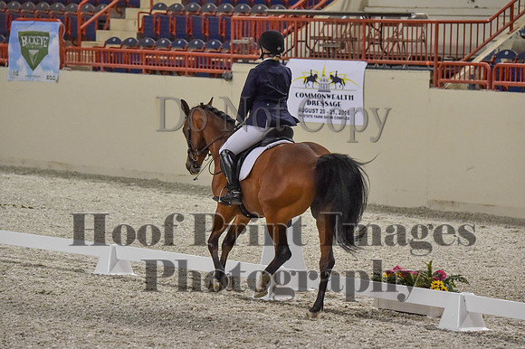 CWdressageI(8-20-16)0400