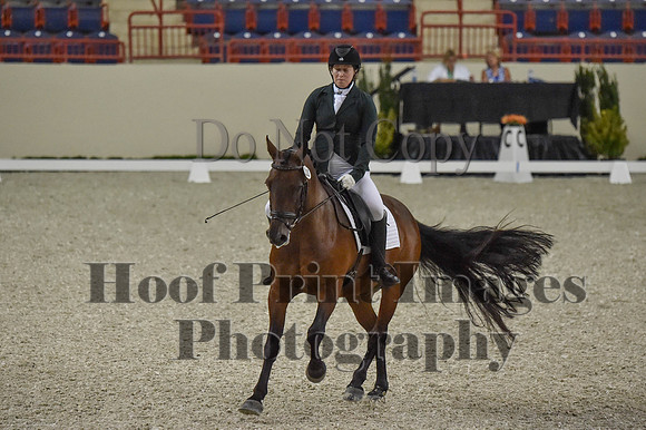 CWdressageI(8-20-16)0120