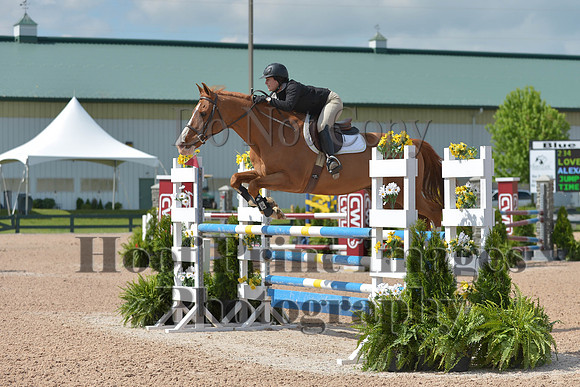 BRSa(5-17-14)HChAdJ0120