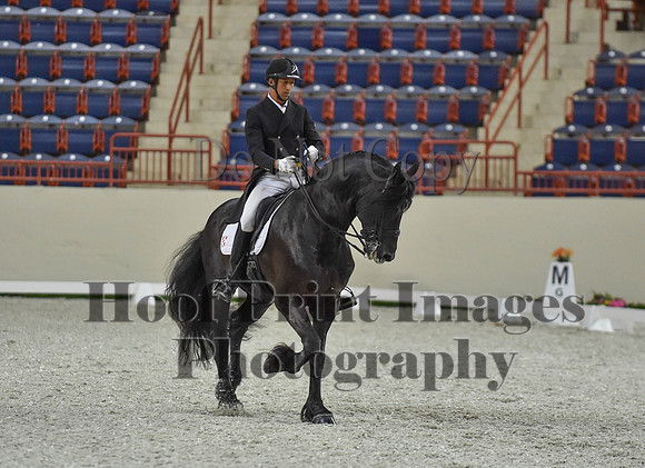 CWdressageI(8-20-16)1672