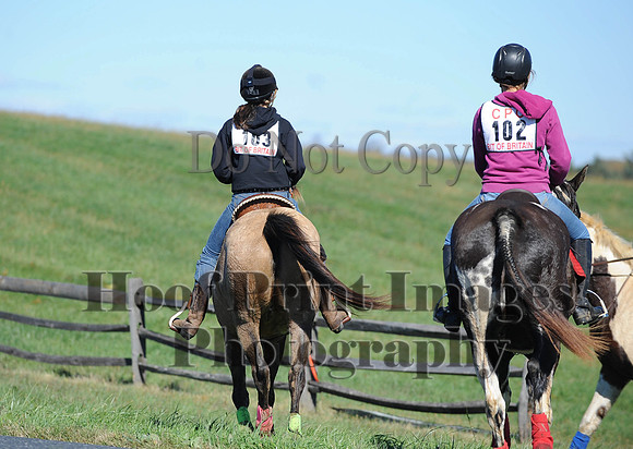 Cheshire(10-19-14)0055