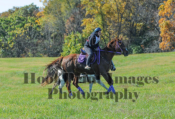 Cheshire(10-19-14)0266