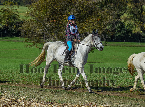CheshirePC(10-18-20)0614