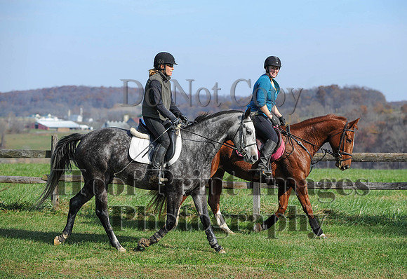 AndrewsBr(11-9-14)0059