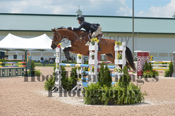 BRSa(5-17-14)HChAdJ0241