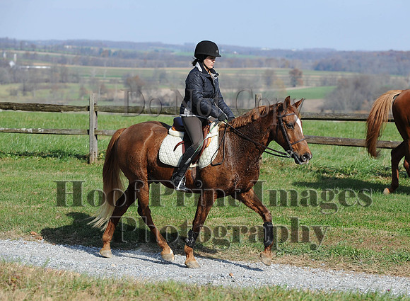 AndrewsBr(11-9-14)0087