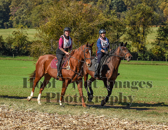 CheshirePC(10-18-20)0538