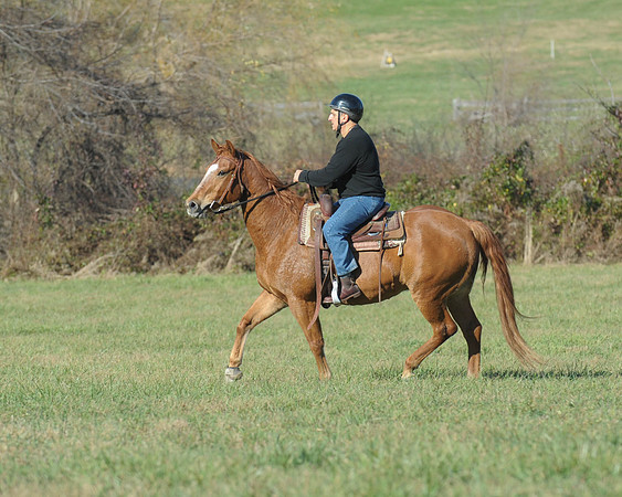 BHPC(11-15-15)0634