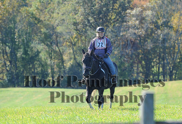 Cheshire(10-19-14)0268