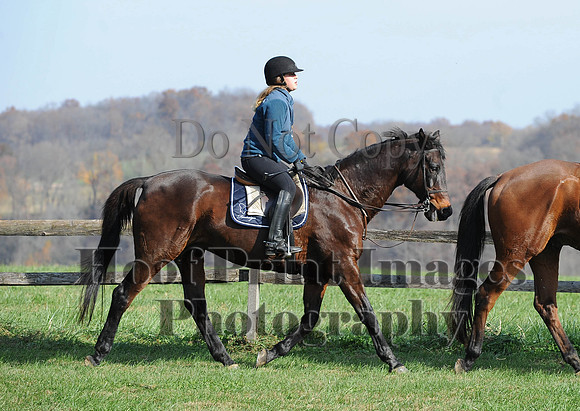 AndrewsBr(11-9-14)0181