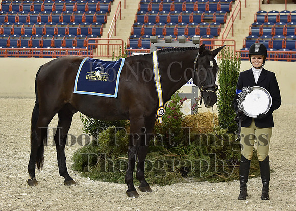 HarrisburgHS(8-23-15)1297