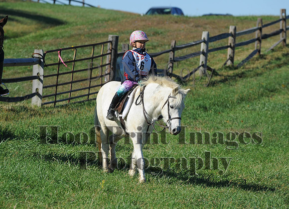 Cheshire(10-19-14)0410