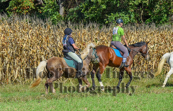 CheshirePonyClubPC(10-6-24)0552