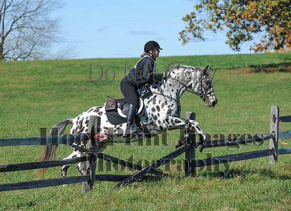 Cheshire(10-19-14)0027
