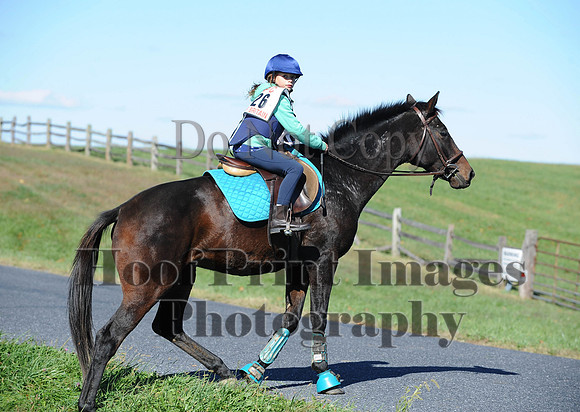 Cheshire(10-19-14)0171