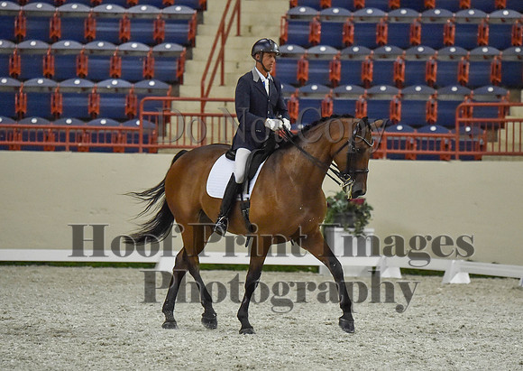 CWdressageI(8-20-16)1360