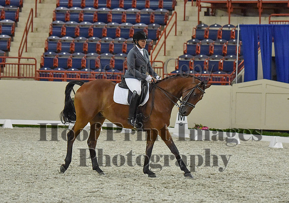 CWdressageI(8-20-16)1169