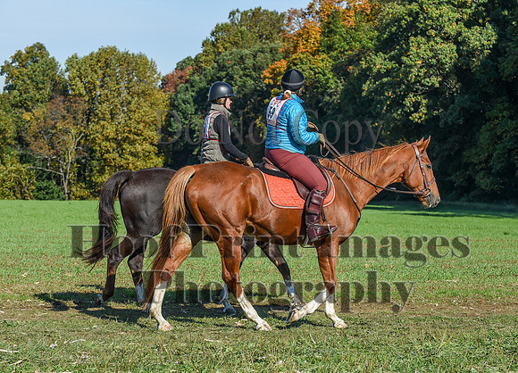 CheshirePC(10-18-20)0209