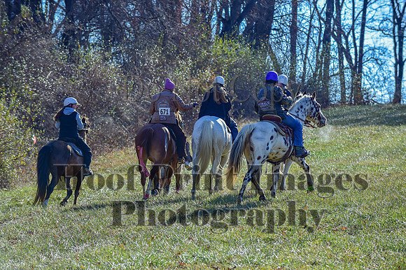FairHillFallPC(11-30-24)0385