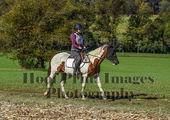 CheshirePC(10-18-20)0391