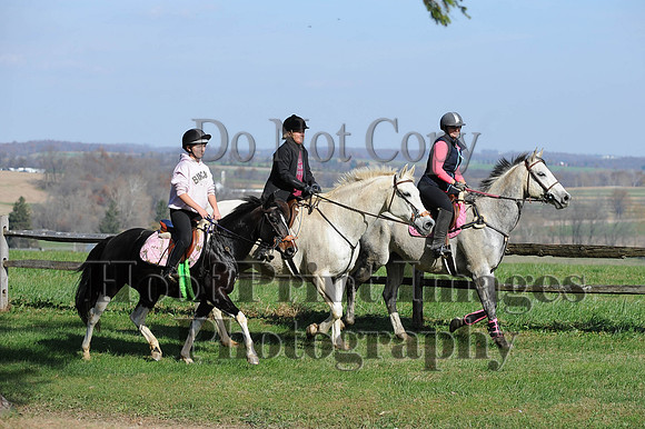 AndrewsBr(11-9-14)0048