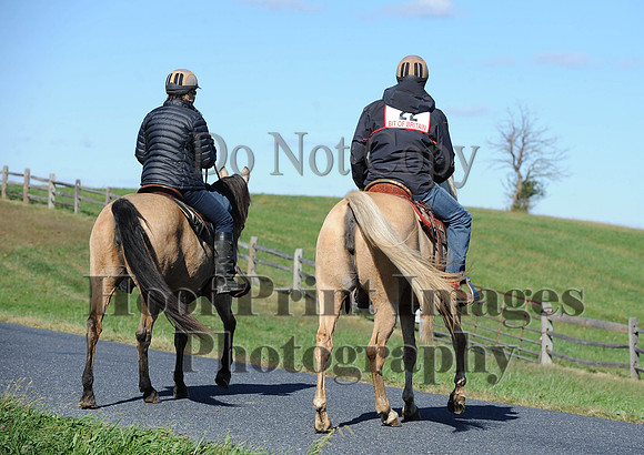 Cheshire(10-19-14)0236