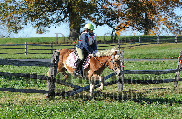Cheshire(10-19-14)0398