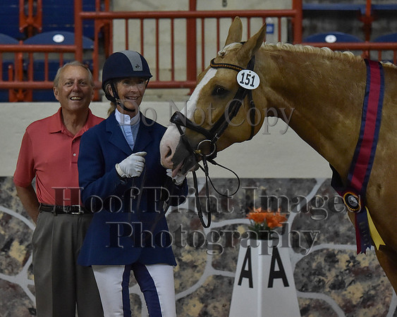 CWdressageII(8-21-16)1447