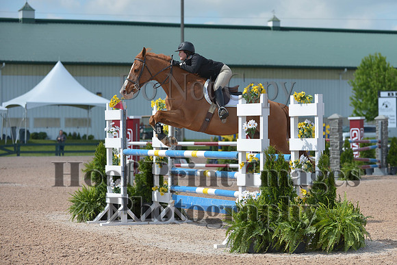 BRSa(5-17-14)HChAdJ0126