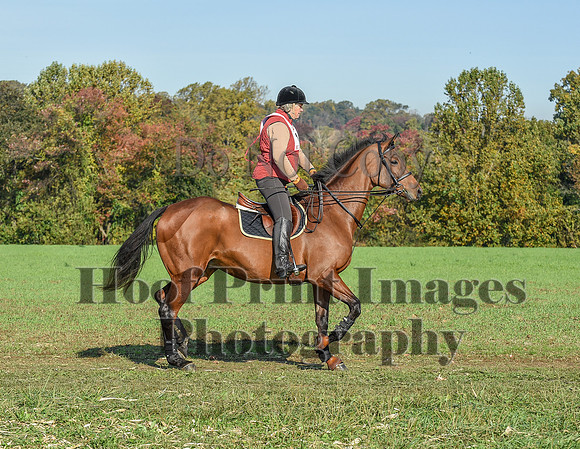 CheshirePC(10-18-20)0065