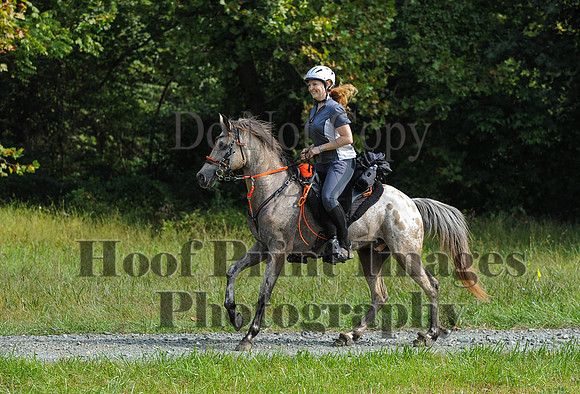 ChesapeakeCTR(9-20-14)0428