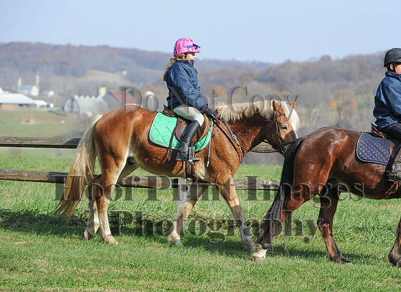 AndrewsBr(11-9-14)0150