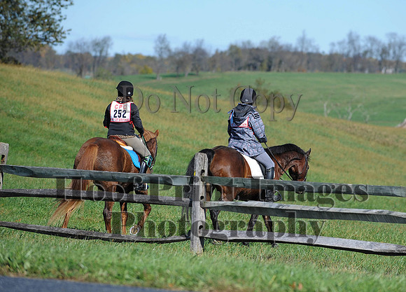 Cheshire(10-19-14)0086